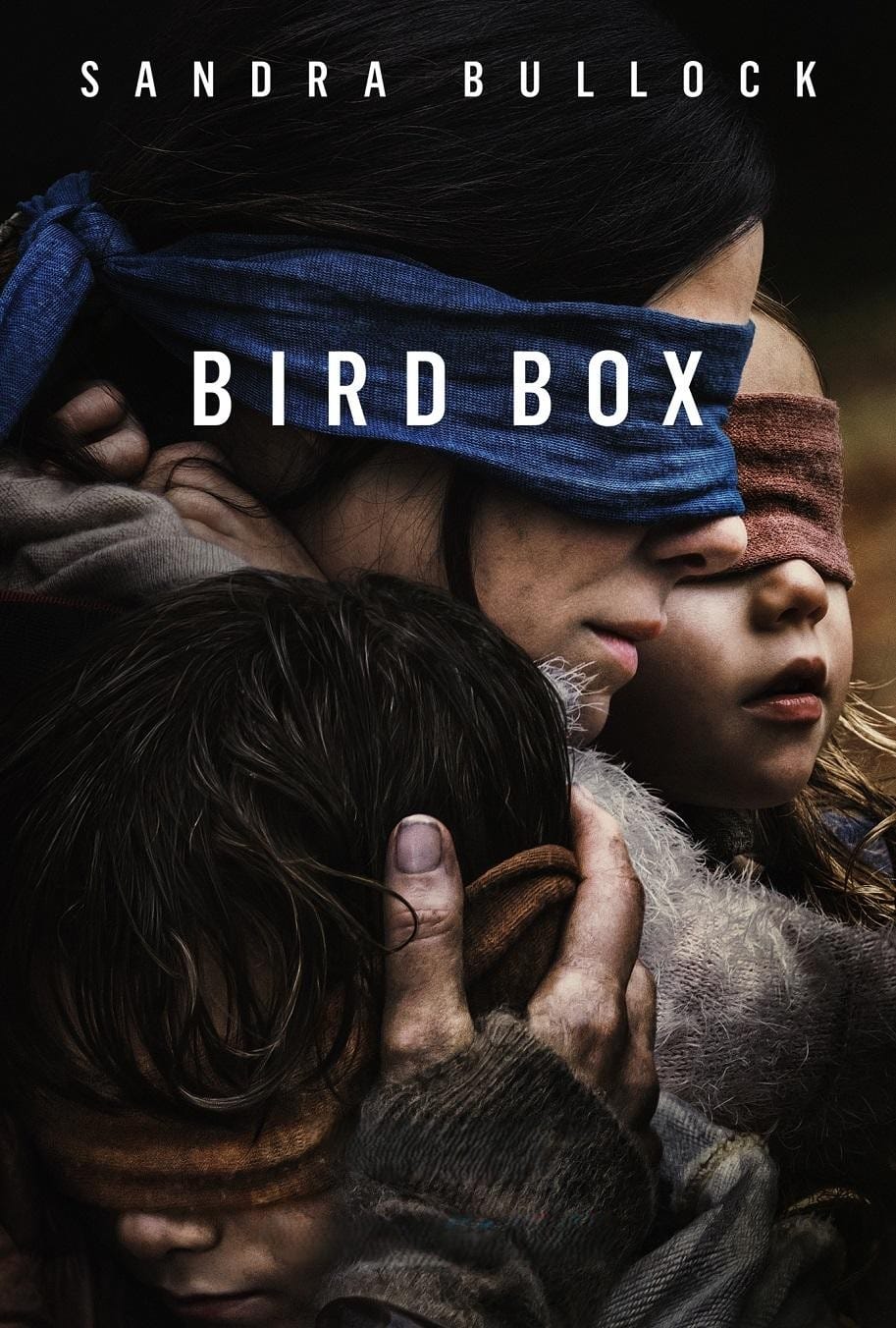 فيلم Bird Box مترجم